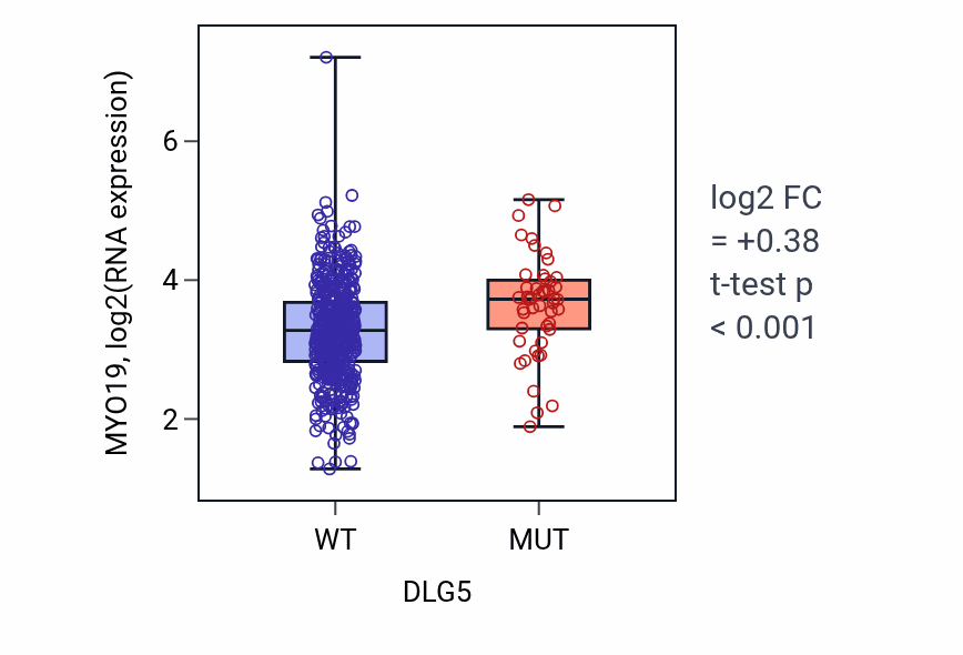 Box plot of MYO19 in DLG5-low vs DLG5-high samples in UCEC.