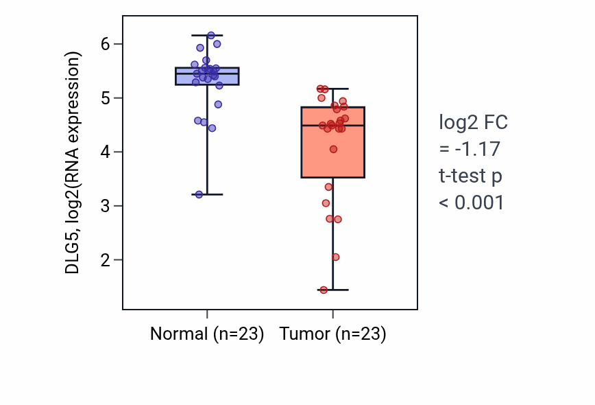 Tumor-vs-normal expression box plot for DLG5 RNA in THCA.