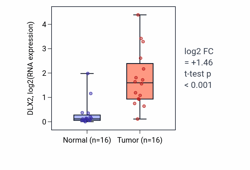 Tumor-vs-normal expression box plot for DLX2 in HNSC.