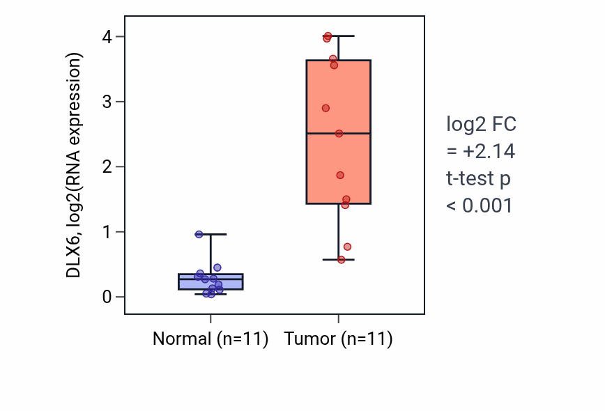 Tumor-vs-normal expression box plot for DLX6 in HNSC.