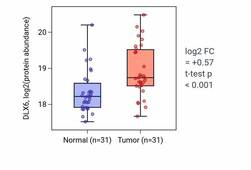 Tumor-vs-normal mass-spec protein box plot for DLX6 in LSCC.