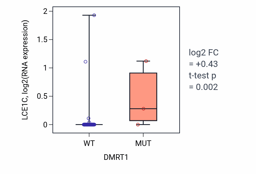 Box plot of LCE1C in DMRT1-low vs DMRT1-high samples in BLOOD_Leukemia.