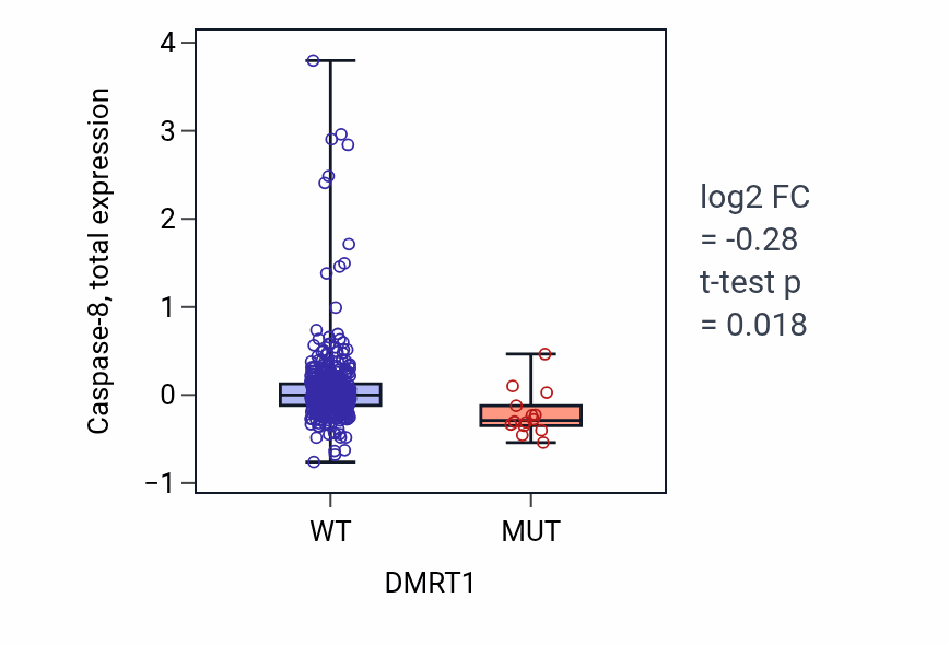 Box plot of Caspase-8 in DMRT1-low vs DMRT1-high samples in UCEC.