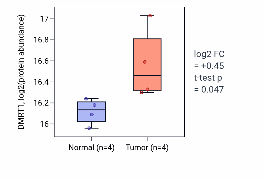 Tumor-vs-normal mass-spec protein box plot for DMRT1 in LSCC.
