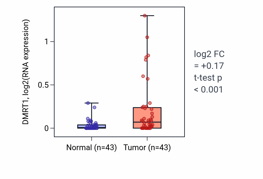 Tumor-vs-normal expression box plot for DMRT1 RNA in HNSC.
