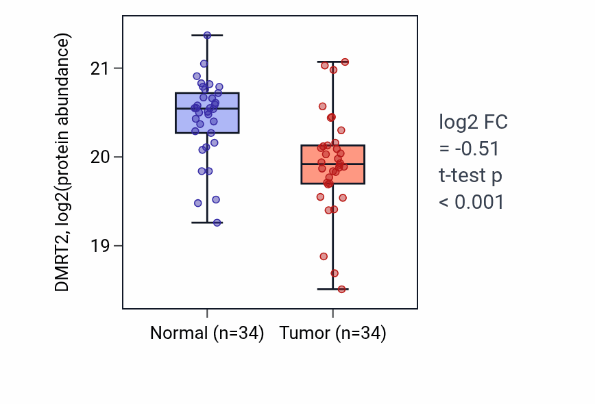 Tumor-vs-normal mass-spec protein box plot for DMRT2 in CCRCC.