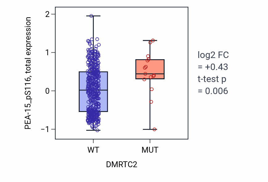 Box plot of PEA-15_pS116 in DMRTC2-low vs DMRTC2-high samples in UCEC.