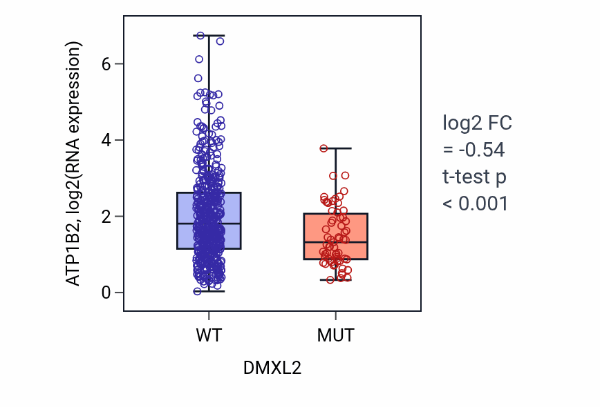 Box plot of ATP1B2 in DMXL2-low vs DMXL2-high samples in UCEC.