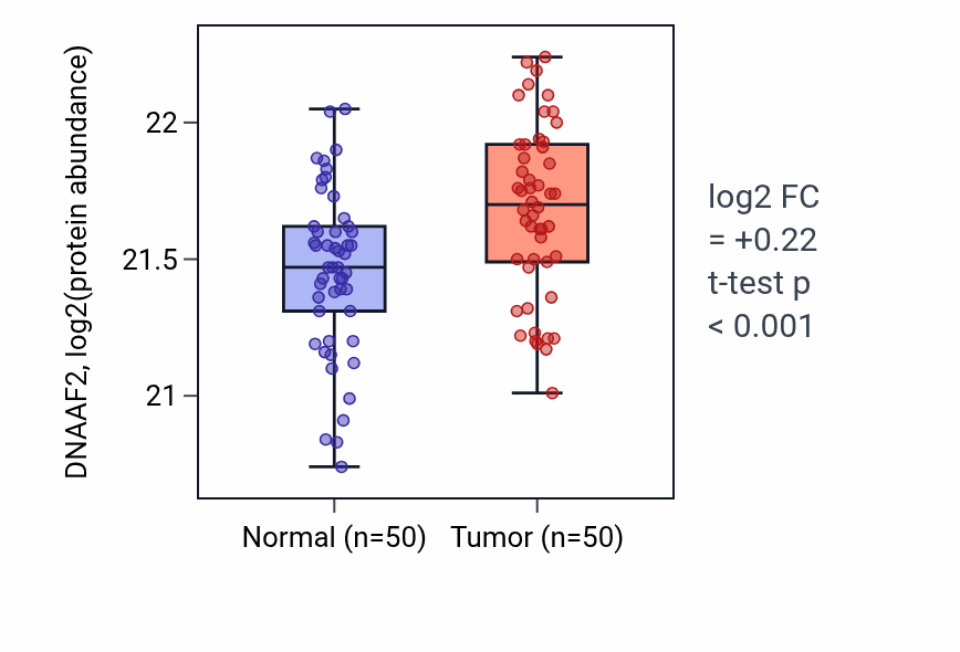 Tumor-vs-normal mass-spec protein box plot for DNAAF2 in LSCC.
