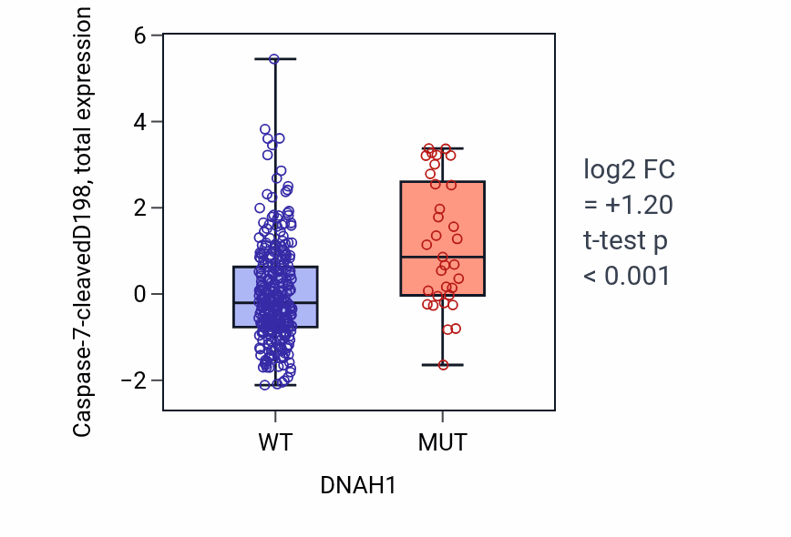 Box plot of Caspase-7-cleavedD198 in DNAH1-low vs DNAH1-high samples in COAD.