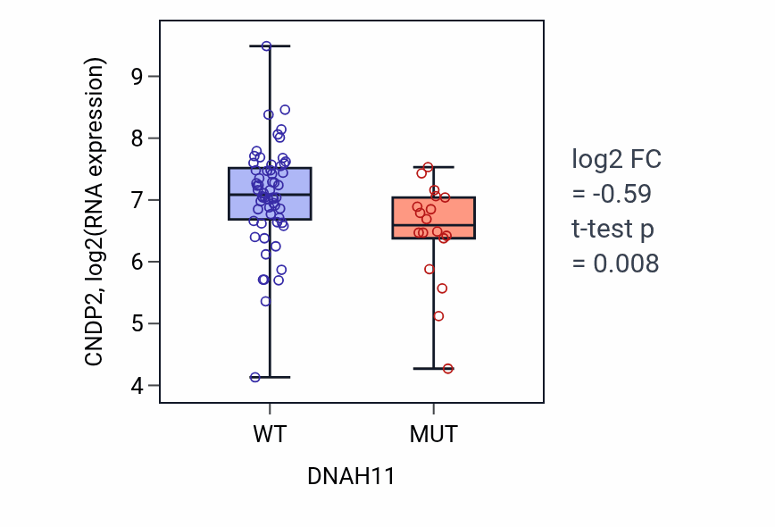 Box plot of CNDP2 in DNAH11-low vs DNAH11-high samples in BLOOD_Lymphoma.