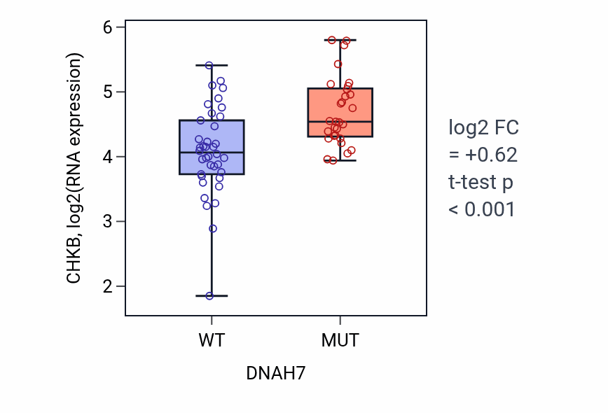 Box plot of CHKB in DNAH7-low vs DNAH7-high samples in LARGE_INTESTINE.