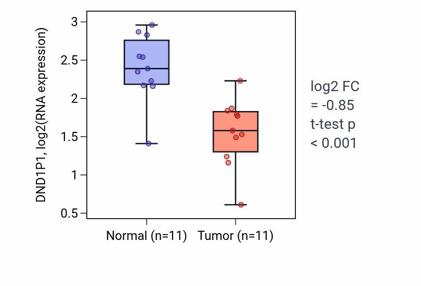 Tumor-vs-normal expression box plot for DND1P1 in KICH.