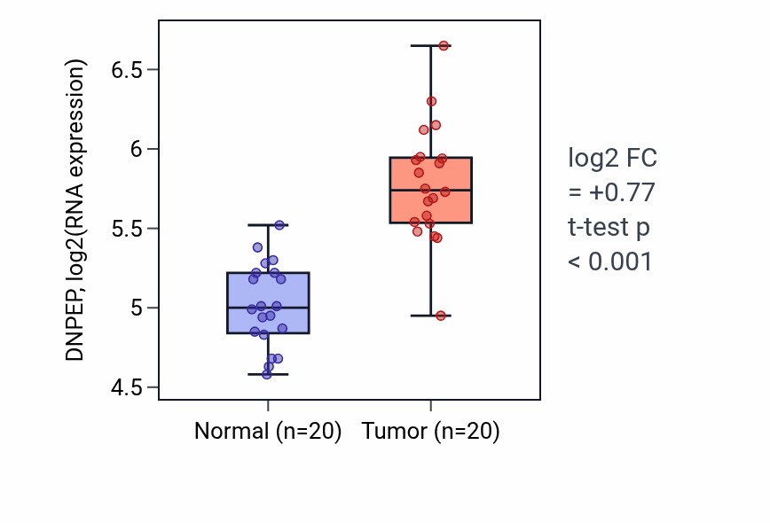 Tumor-vs-normal expression box plot for DNPEP in KIRC.