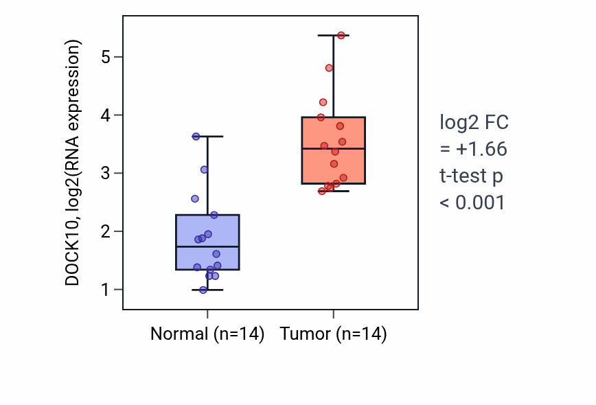 Tumor-vs-normal expression box plot for DOCK10 in KIRC.