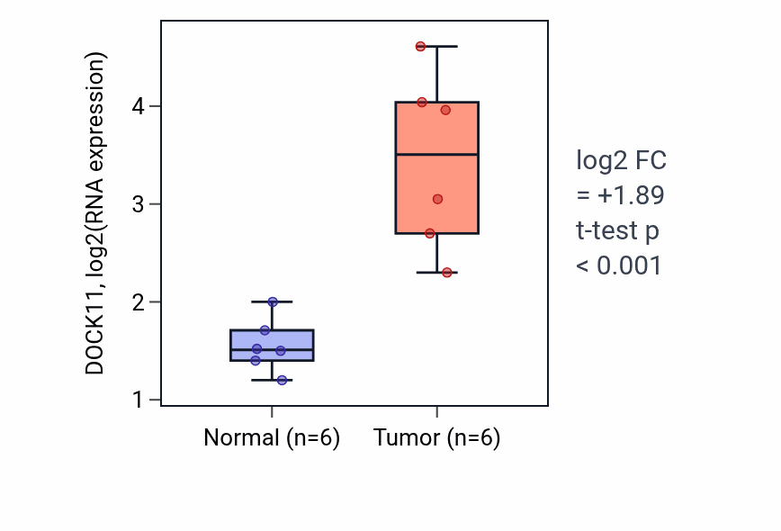Tumor-vs-normal expression box plot for DOCK11 in HNSC.