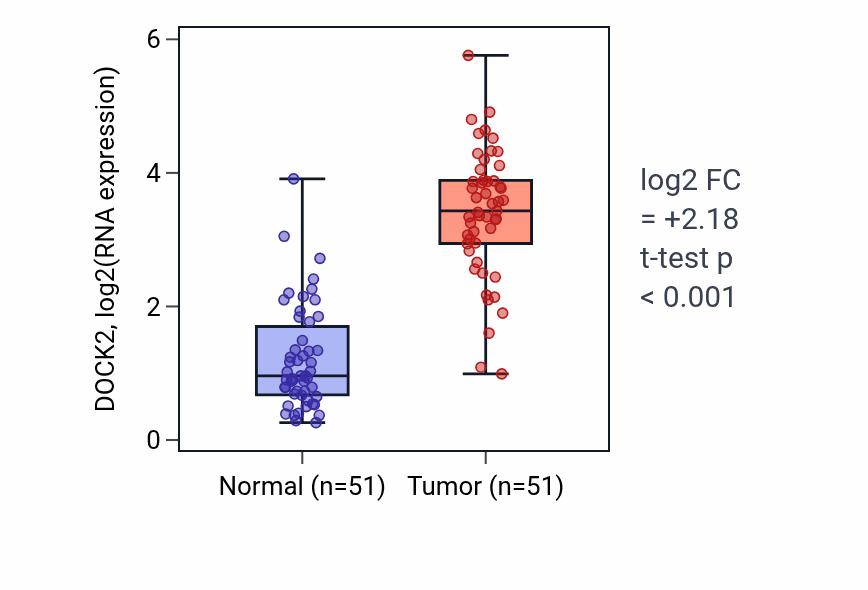Tumor-vs-normal expression box plot for DOCK2 in KIRC.