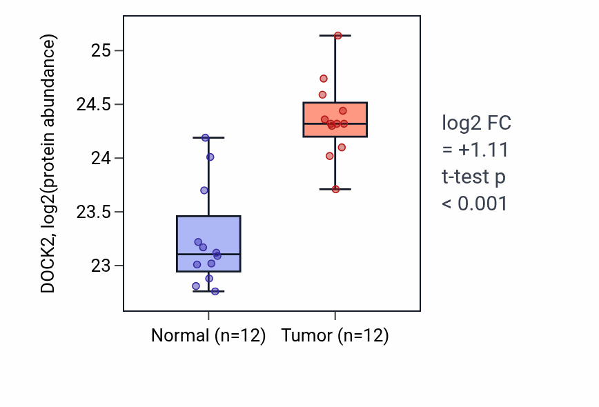 Tumor-vs-normal mass-spec protein box plot for DOCK2 in CCRCC.