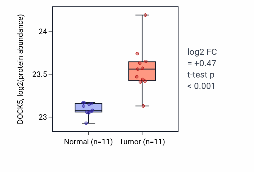 Tumor-vs-normal mass-spec protein box plot for DOCK5 in CCRCC.