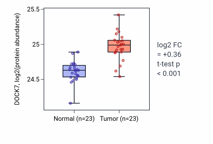 Tumor-vs-normal mass-spec protein box plot for DOCK7 in HNSC.