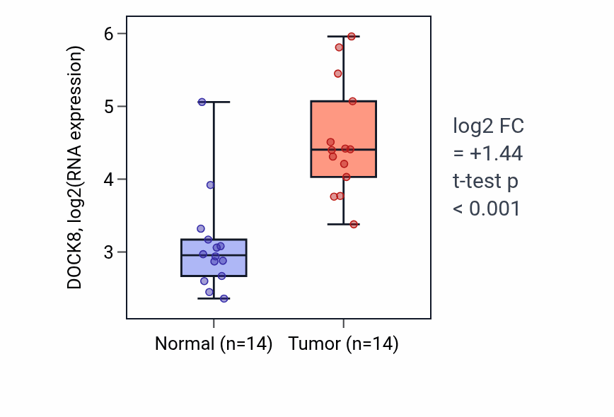 Tumor-vs-normal expression box plot for DOCK8 in KIRC.
