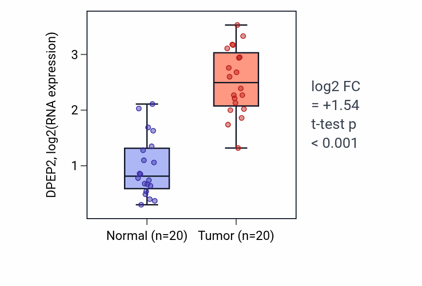 Tumor-vs-normal expression box plot for DPEP2 in KIRC.