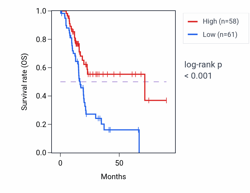 Kaplan&ndash;Meier survival curve for DPH1 RNA expression in PAAD: high vs low expression groups.