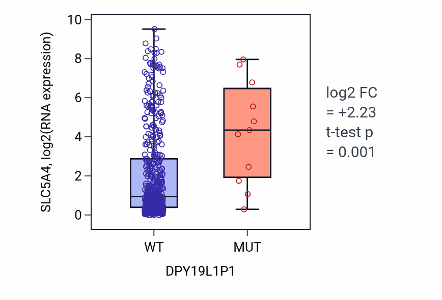 Box plot of SLC5A4 in DPY19L1P1-low vs DPY19L1P1-high samples in SKCM.