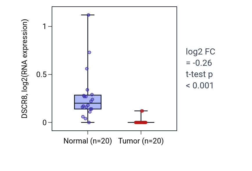Tumor-vs-normal expression box plot for DSCR8 in KIRC.