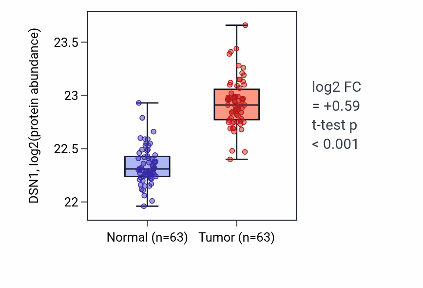 Tumor-vs-normal mass-spec protein box plot for DSN1 in CCRCC.