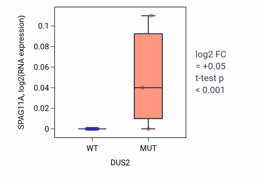Box plot of SPAG11A in DUS2-low vs DUS2-high samples in BLOOD_Myeloma.
