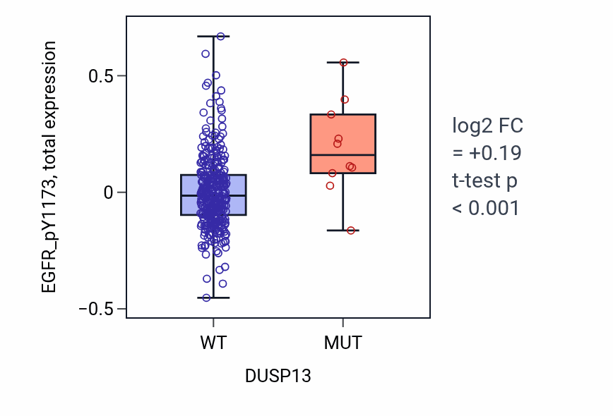 Box plot of EGFR_pY1173 in DUSP13-low vs DUSP13-high samples in SKCM.