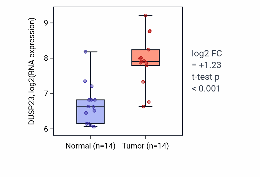 Tumor-vs-normal expression box plot for DUSP23 in KIRC.
