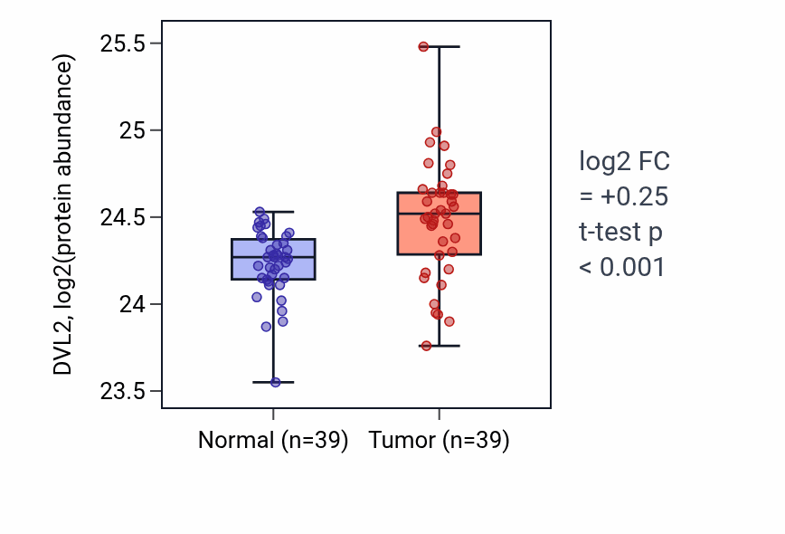 Tumor-vs-normal mass-spec protein box plot for DVL2 in HNSC.