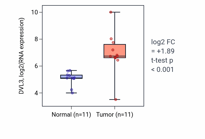 Tumor-vs-normal expression box plot for DVL3 in HNSC.
