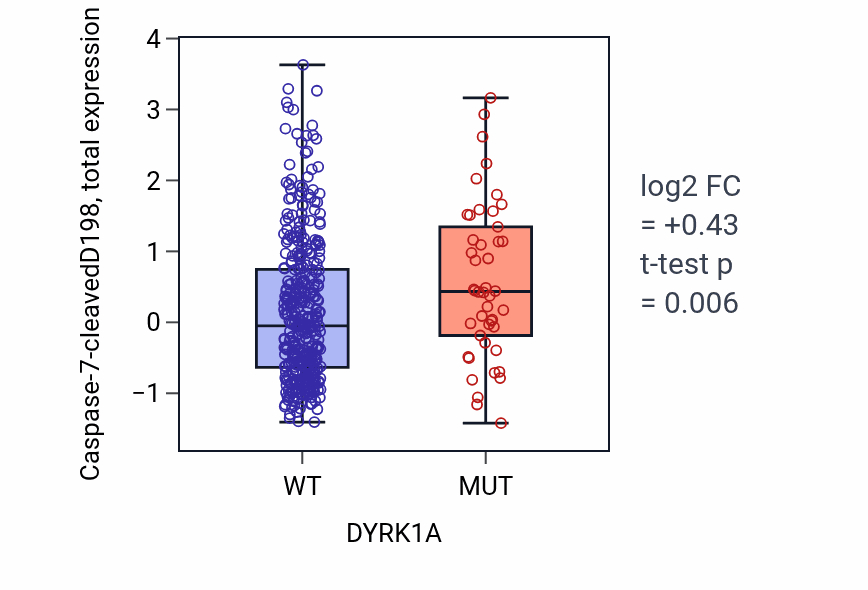 Box plot of Caspase-7-cleavedD198 in DYRK1A-low vs DYRK1A-high samples in UCEC.
