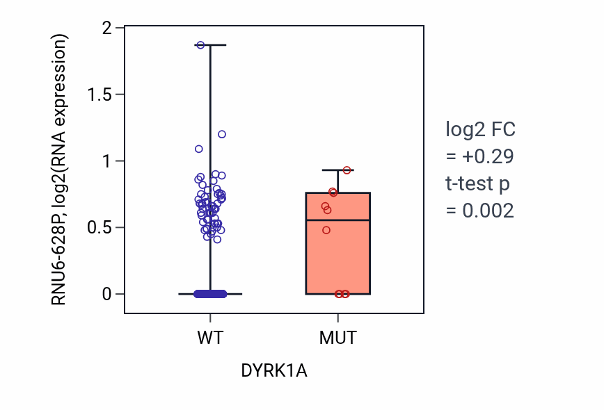 Box plot of RNU6-628P in DYRK1A-low vs DYRK1A-high samples in CESC.