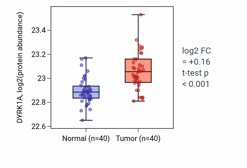 Tumor-vs-normal mass-spec protein box plot for DYRK1A in CCRCC.