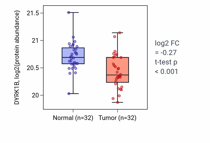 Tumor-vs-normal mass-spec protein box plot for DYRK1B in LUAD.