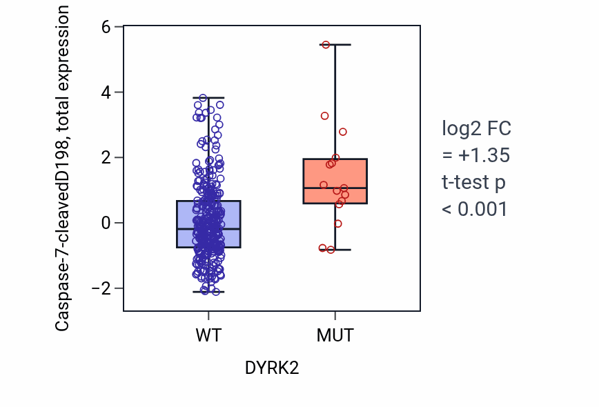 Box plot of Caspase-7-cleavedD198 in DYRK2-low vs DYRK2-high samples in COAD.