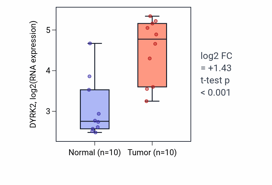 Tumor-vs-normal expression box plot for DYRK2 in KIRP.