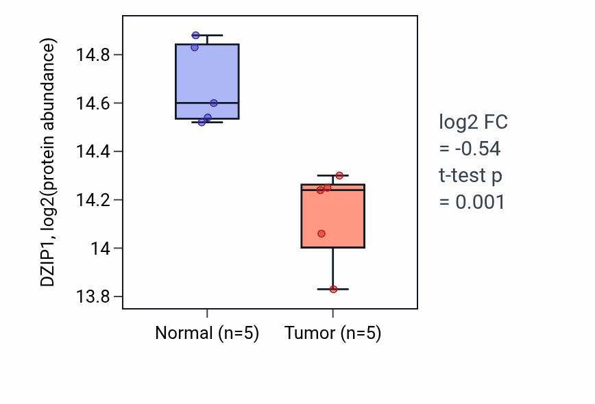 Tumor-vs-normal mass-spec protein box plot for DZIP1 in LSCC.