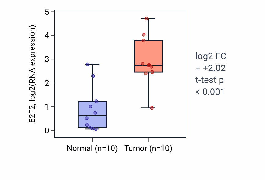 Tumor-vs-normal expression box plot for E2F2 in BLCA.