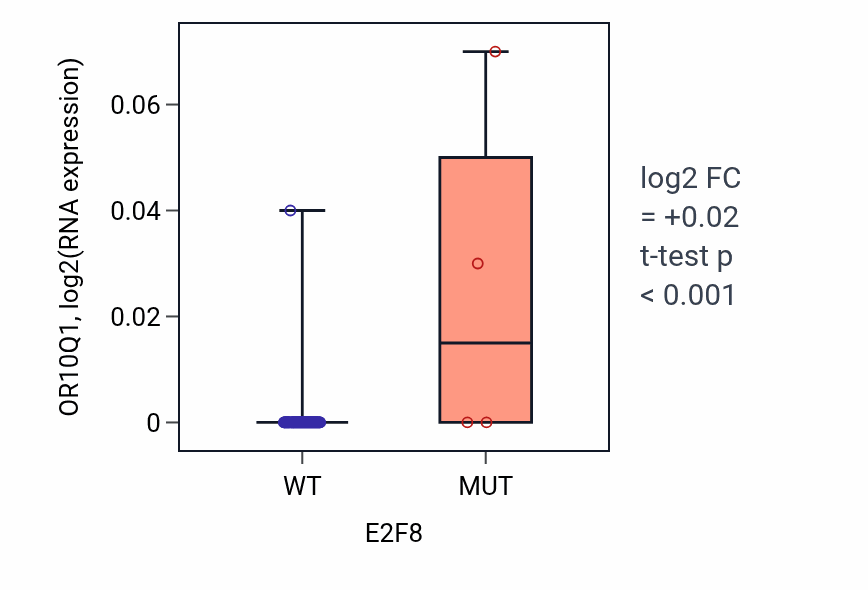 Box plot of OR10Q1 in E2F8-low vs E2F8-high samples in BLOOD_Leukemia.