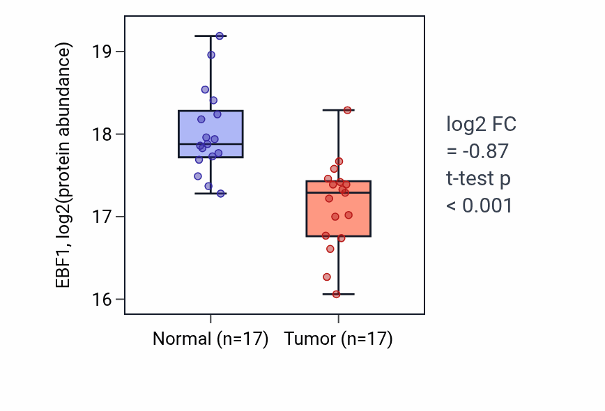 Tumor-vs-normal mass-spec protein box plot for EBF1 in LSCC.