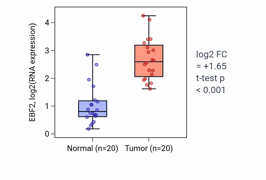 Tumor-vs-normal expression box plot for EBF2 in KIRC.