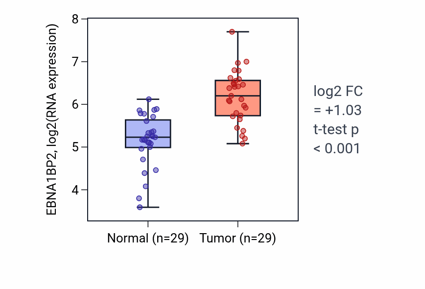 Tumor-vs-normal expression box plot for EBNA1BP2 in HNSC.