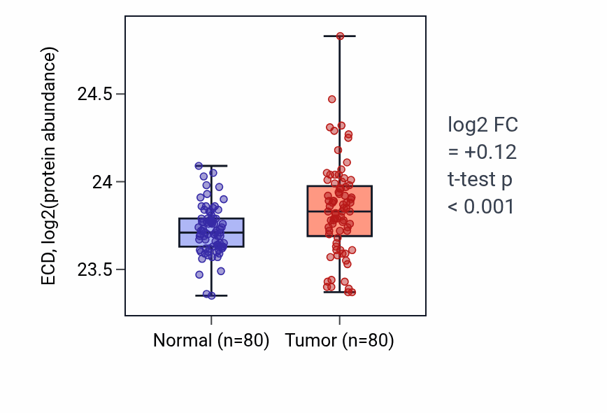 Tumor-vs-normal mass-spec protein box plot for ECD in CCRCC.