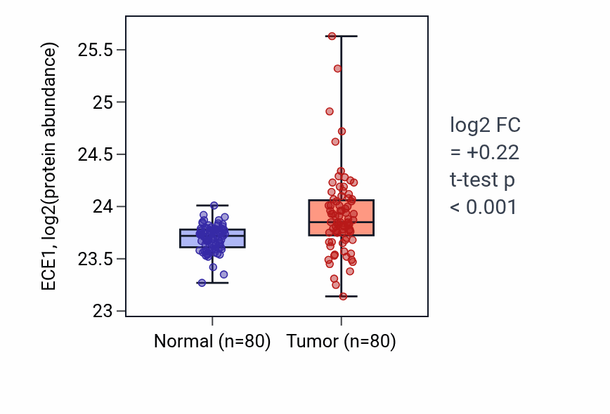 Tumor-vs-normal mass-spec protein box plot for ECE1 in CCRCC.