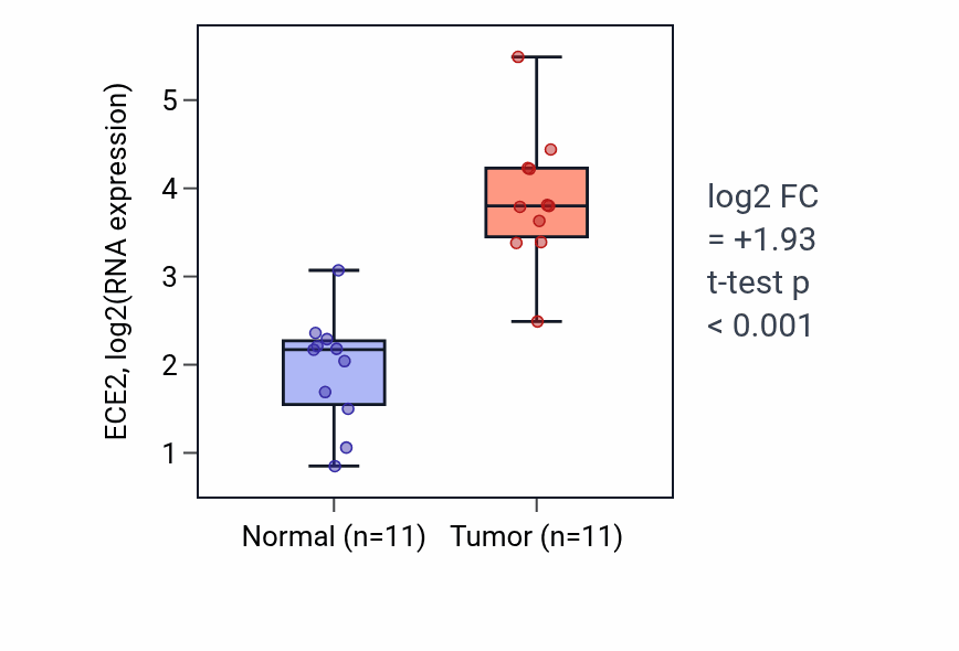 Tumor-vs-normal expression box plot for ECE2 in HNSC.